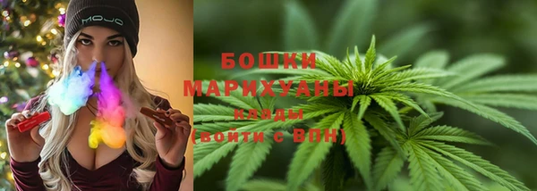 ПСИЛОЦИБИНОВЫЕ ГРИБЫ Кулебаки