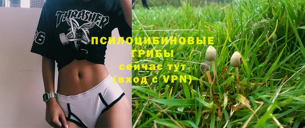 соль ск Куйбышев