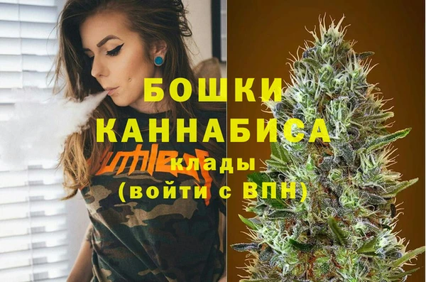 ПСИЛОЦИБИНОВЫЕ ГРИБЫ Кулебаки
