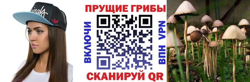 Галлюциногенные грибы Cubensis  Купить где  Петушки 