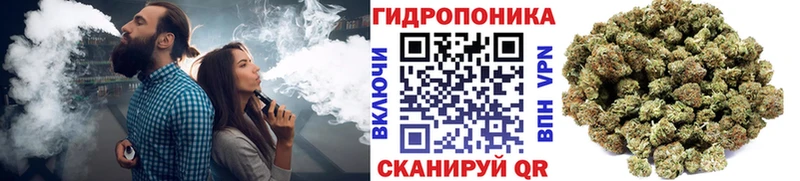 Купить  Петушки  Шишки марихуана Amnesia 